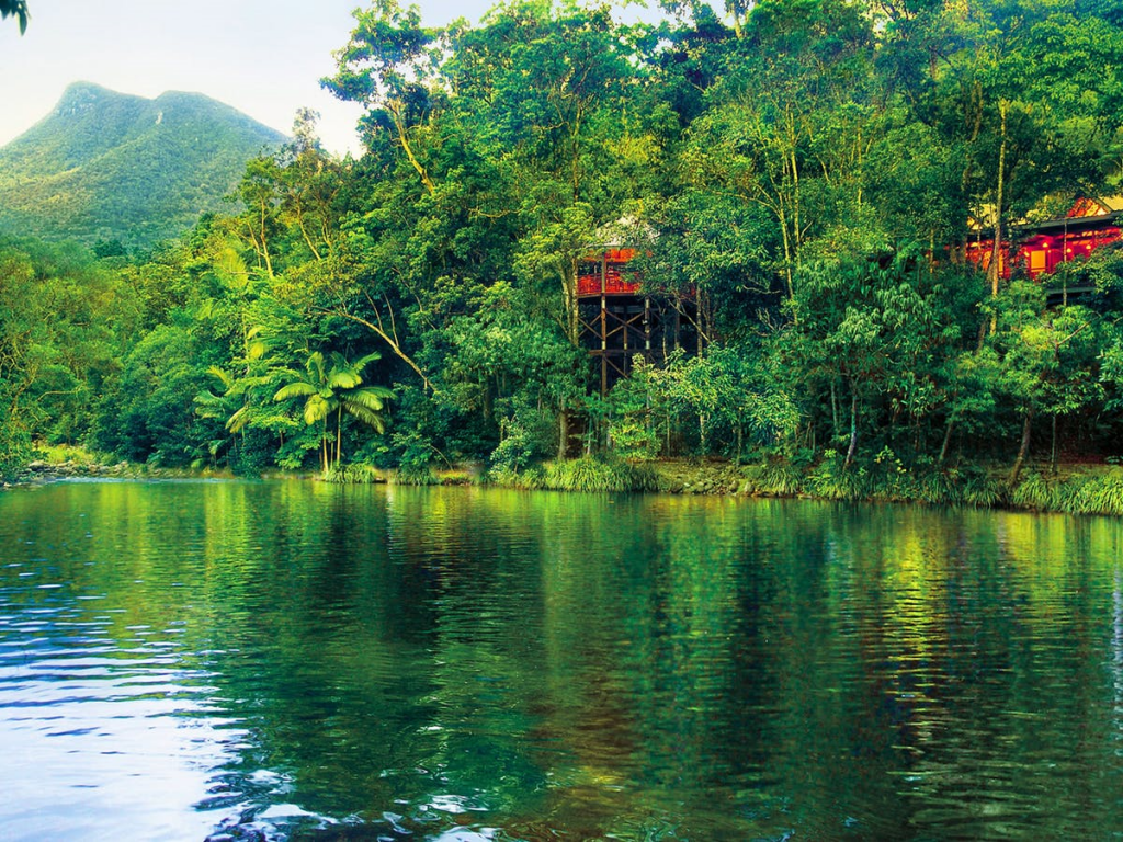 Cairns, Daintree NP, Mossman