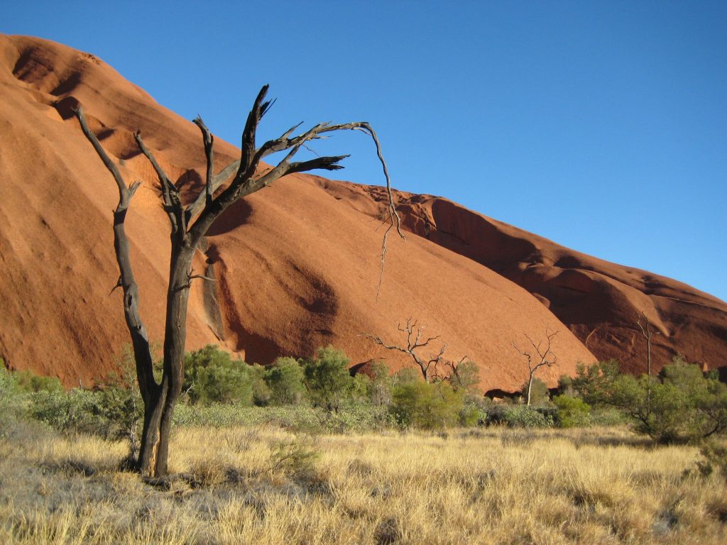 Uluru a Olgas