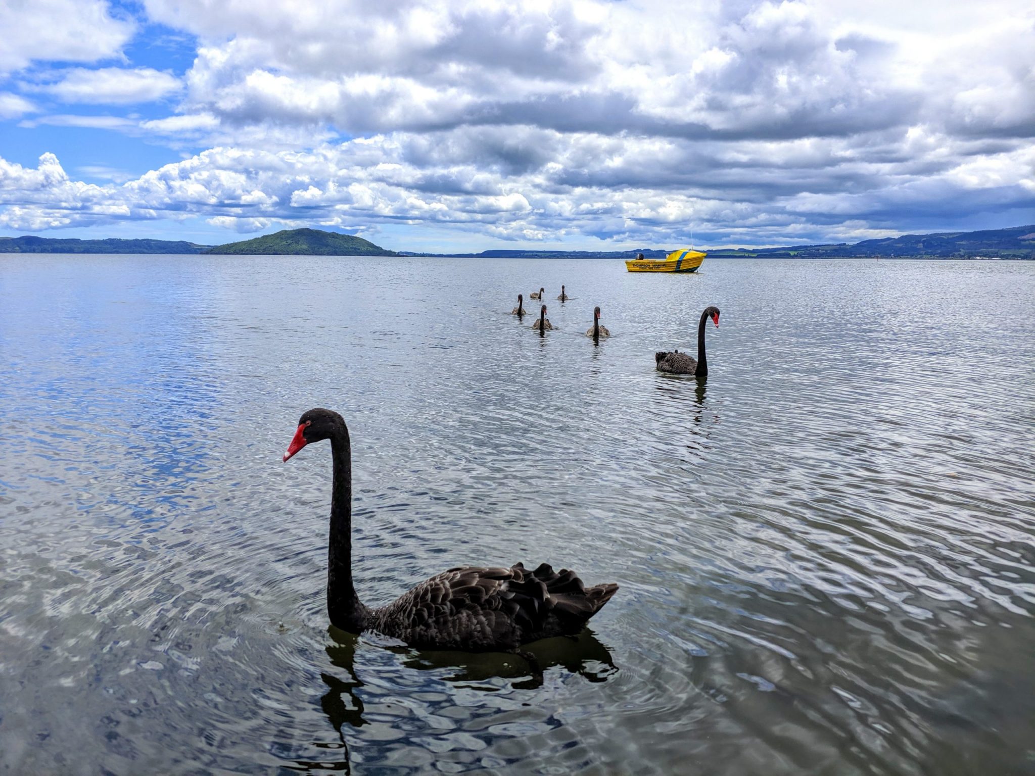 Rotorua