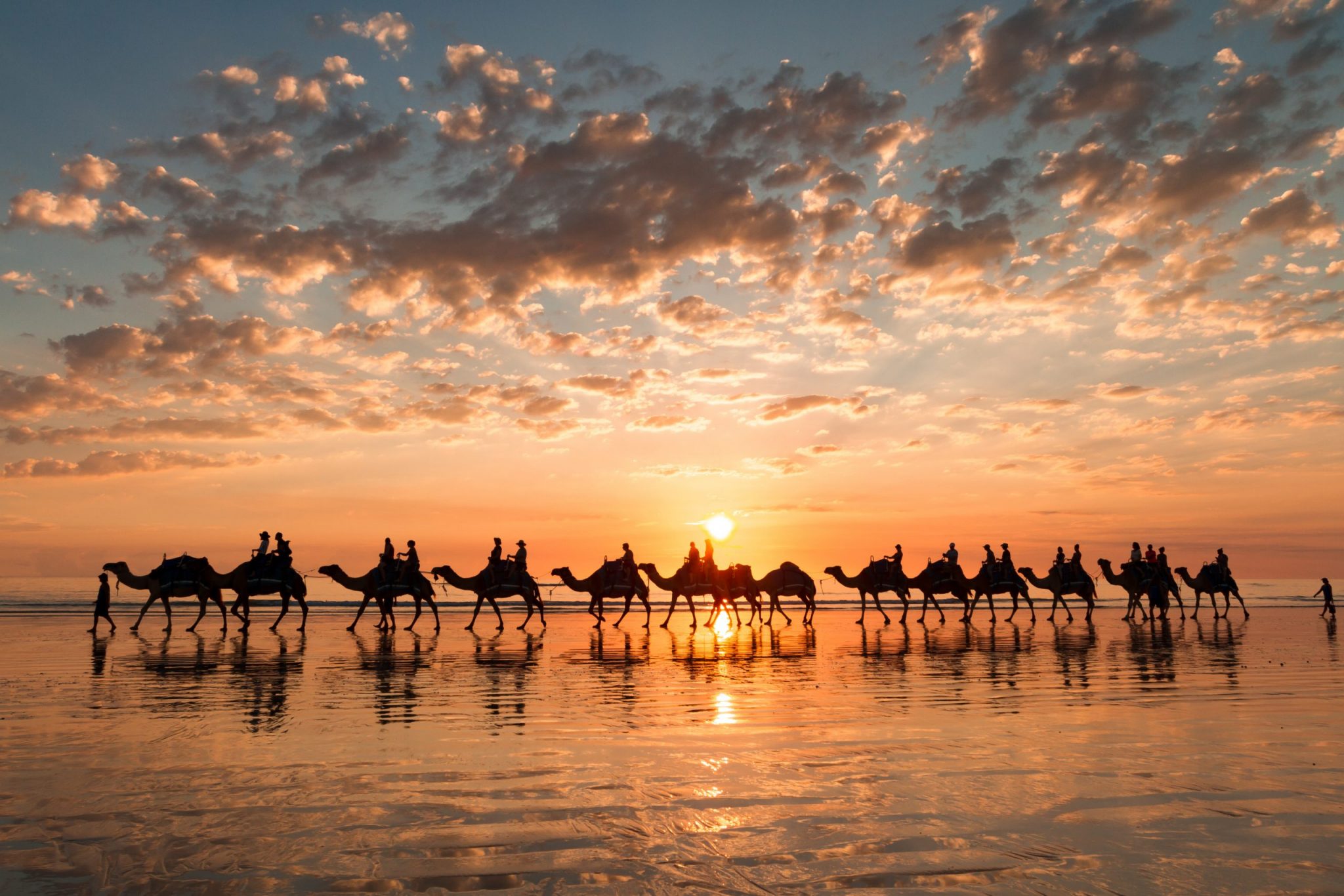 Broome, WA Sunset silhouette of the camels on Cable Beach, Broome, Western Australia.