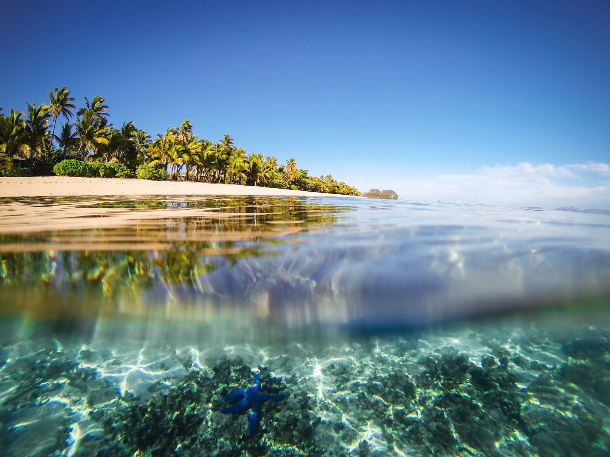 Split shot of tropical island