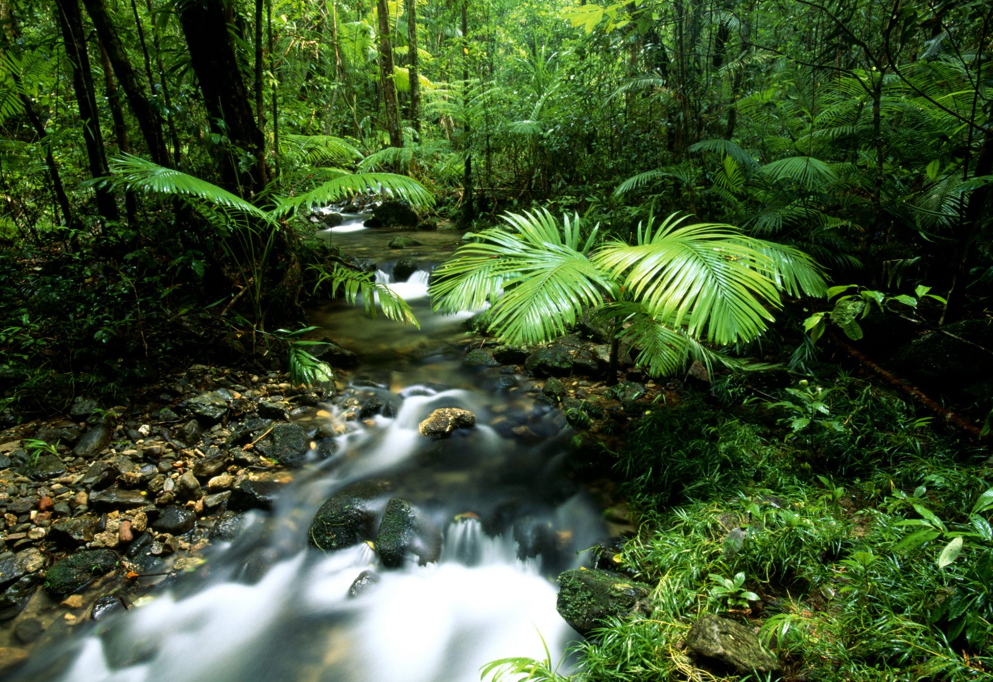 Cairns - Velký bariérový útes a pralesy