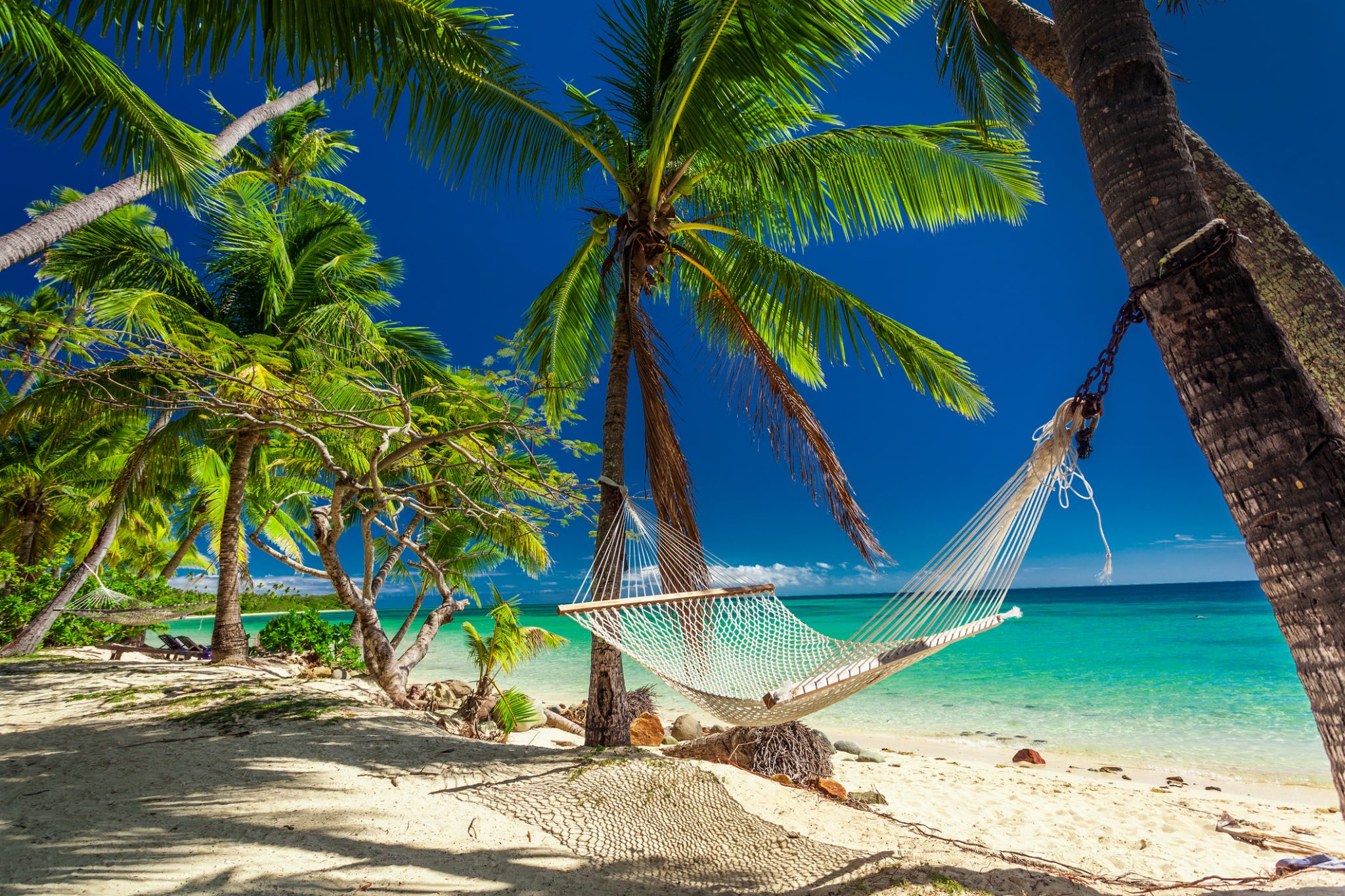 Empty hammock in the shade of palm trees,  Fiji