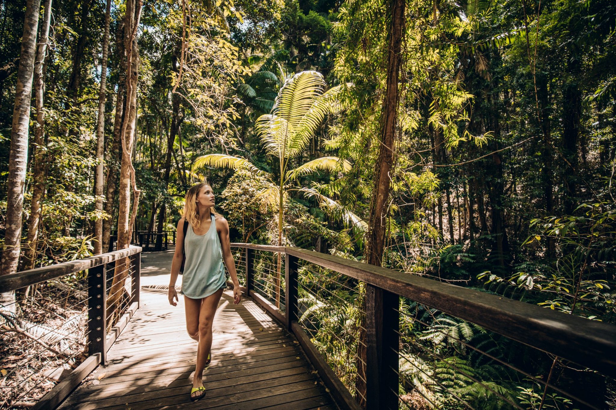 Cairns, Daintree NP, Mossman