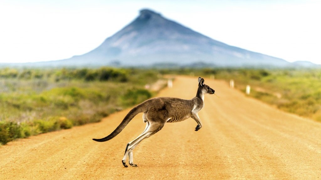 Základní rady na cestu do Austrálie