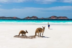 Pohled na přírodní krásy Austrálie - Zájezd a dovolená Austrálie