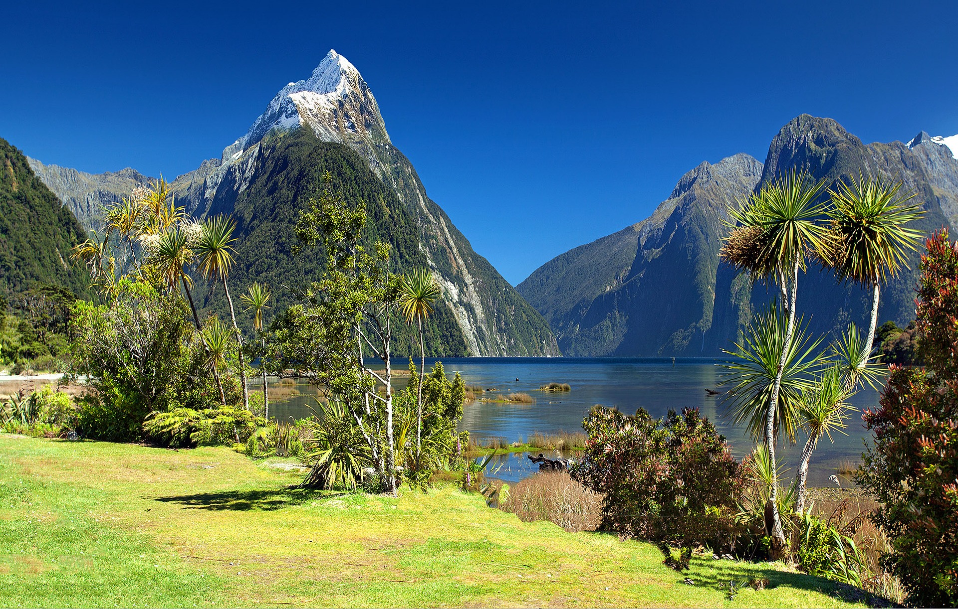 Queenstown - Glenorchy / Milford Sound