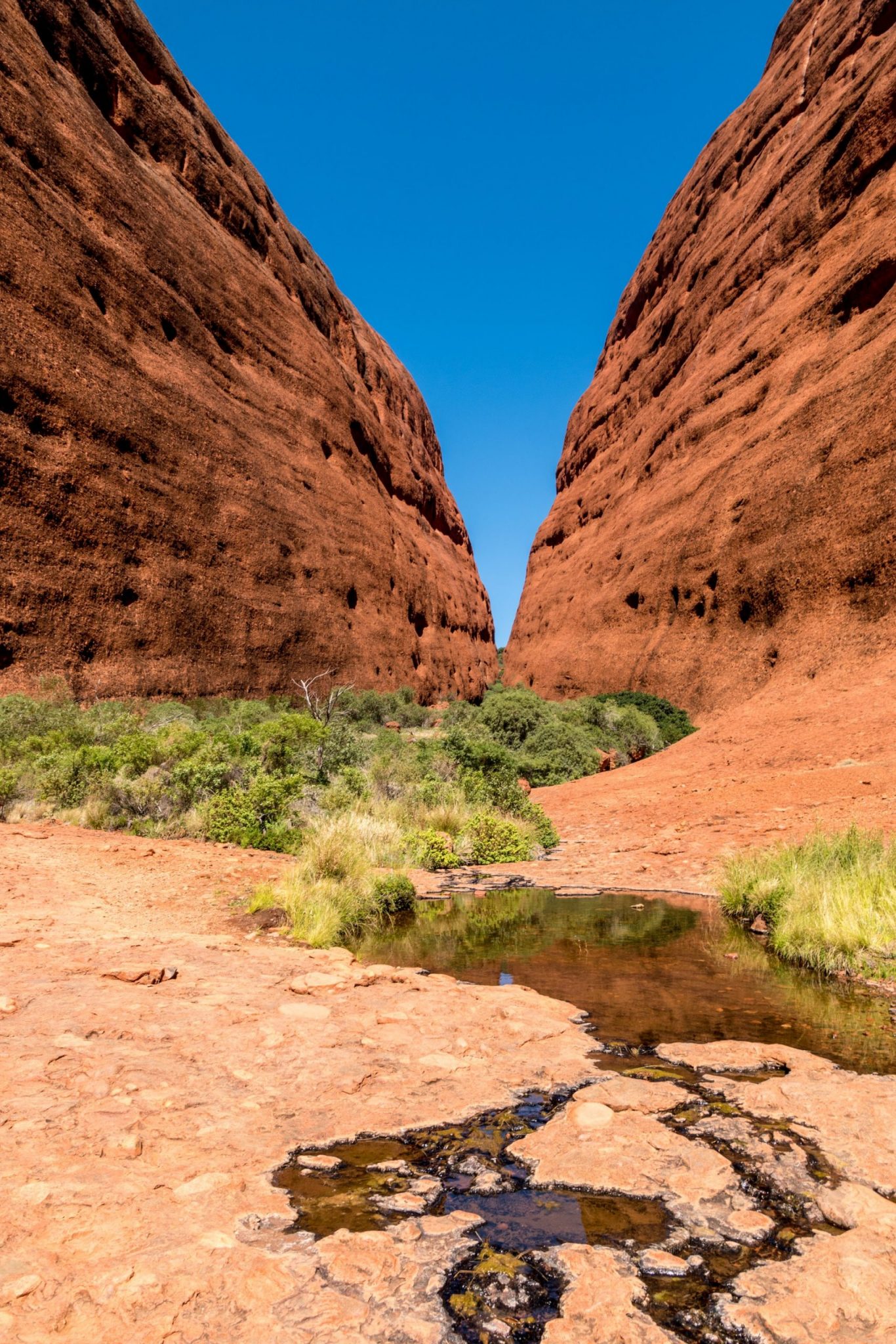 Uluru a Olgas