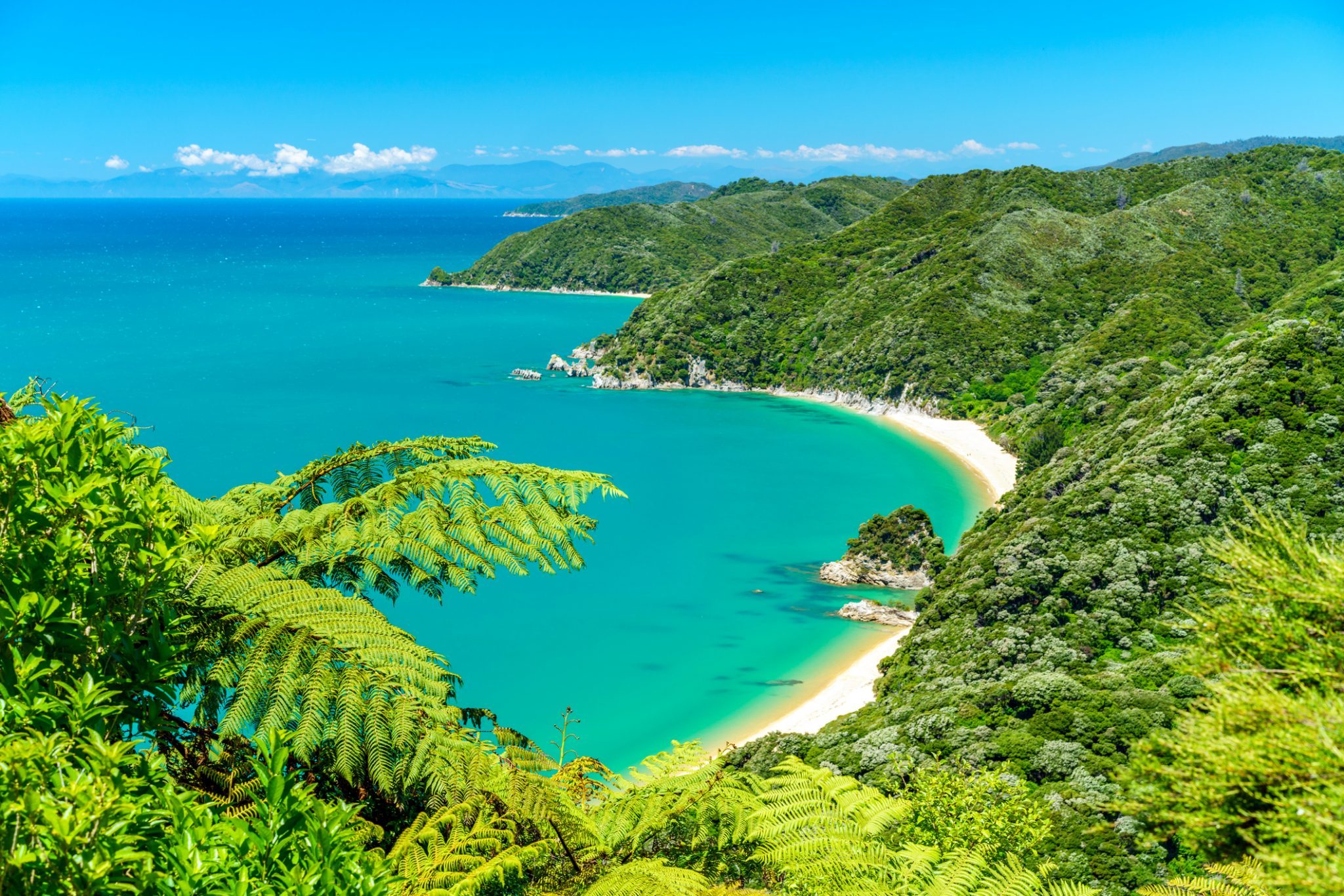 panorama of a beach, abel tasman national park, new zealand 9