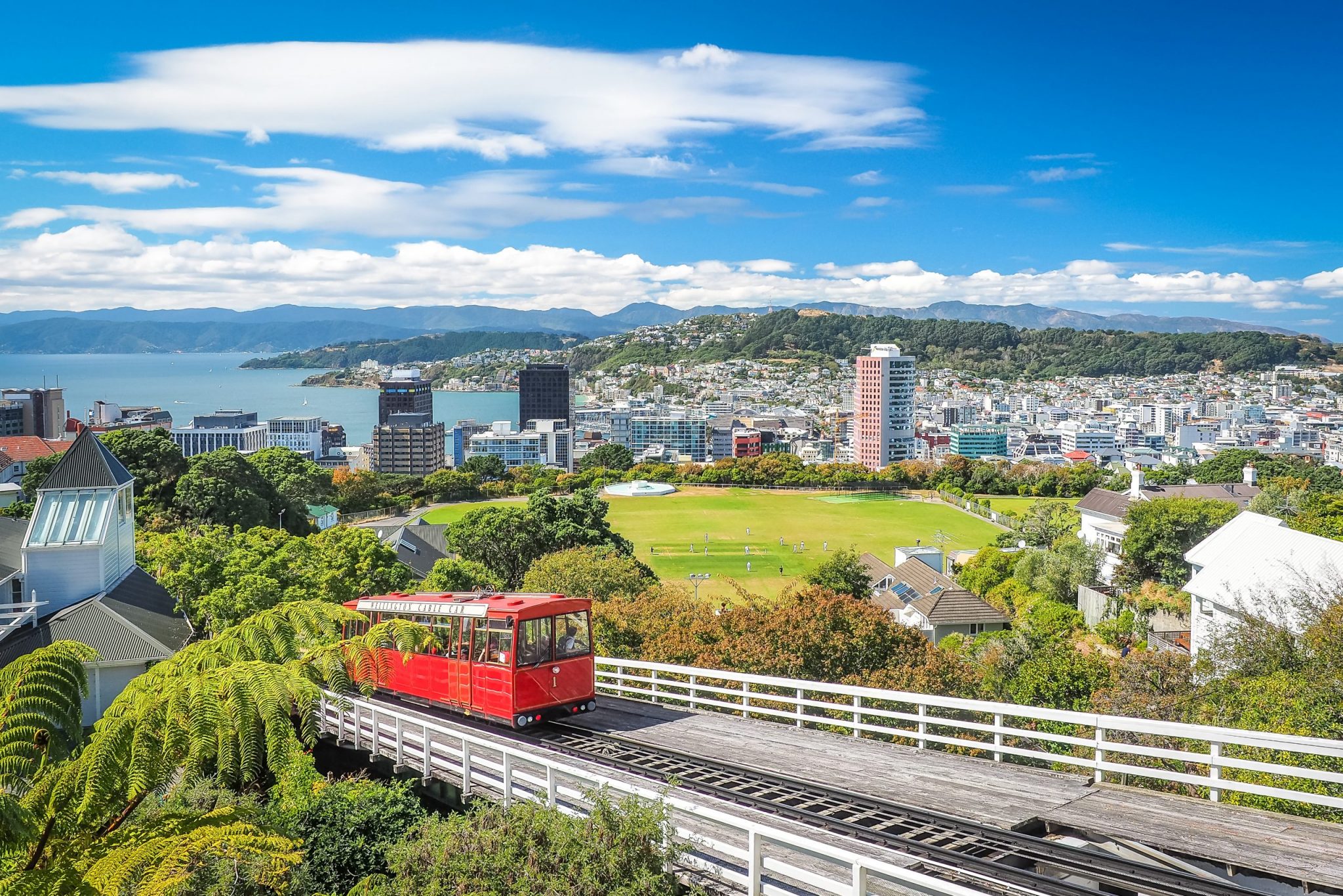  Wellington