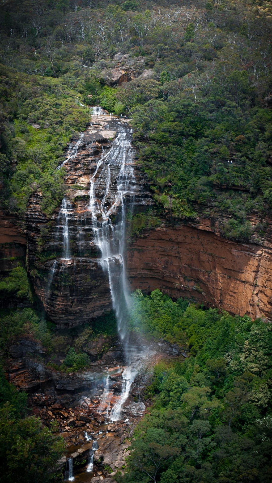 Blue Mountains NP