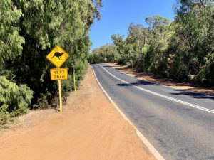 Pohled na přírodní krásy Austrálie - Zájezd a dovolená Austrálie